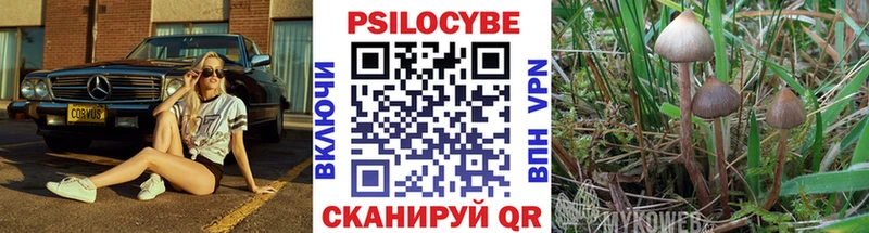 Псилоцибиновые грибы мухоморы  купить наркоту  Печоры 